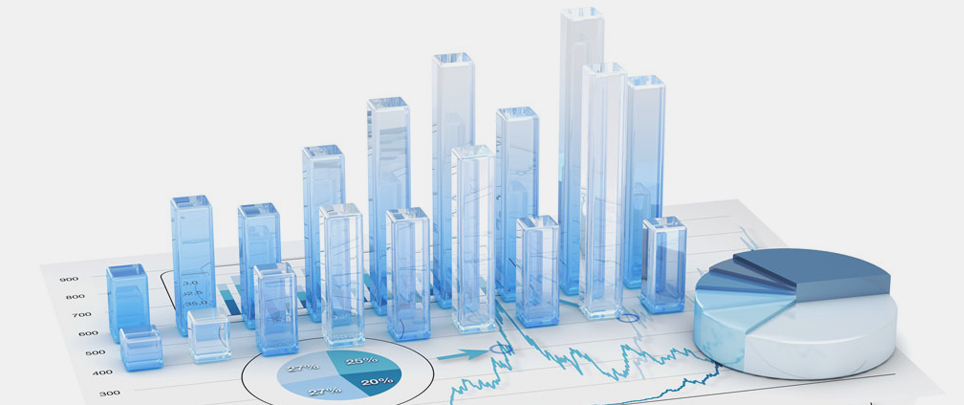 Platinum Global Wealth-Pie-Chart4